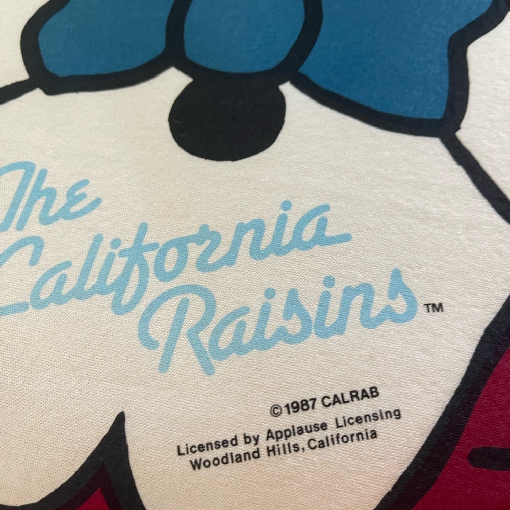 california raisins vintage nwt costume from the 80’s stoll original cardboard